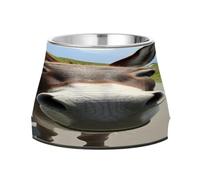 JUMBEAR Cute Donkey Anti slip Dog Bowls,Stainless Steel Cat Bowls,Cute Pet Bowls for Medium/Small Size Dogs
