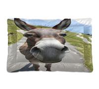 JUMBEAR Cute Donkey Pet Bed Mats,Non Slip Bottom Dog Crate Mattress Cat Dog Mat,Soft Comfortable Pet Cat Beds for Cats and Dogs Sleeping 36x24in