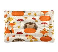 JUMBEAR Cute Hedgehogs and Foxes Pet Bed Mats,Non Slip Bottom Dog Crate Mattress Cat Dog Mat,Soft Comfortable Pet Cat Beds for Cats and Dogs Sleeping 24x18in