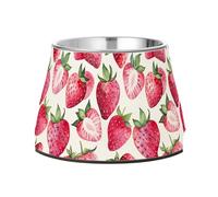 JUMBEAR Delicious Strawberries Stainless Steel Dog Bowls,Food and Water Non Slip Anti Pet Puppy Dishes for Small, Medium and Large Dogs Cats