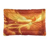 JUMBEAR Fire Phoenix Pet Bed,Non Slip Bottom Dog Crate Mattress Cat Dog Mat,Soft Comfortable Pet Cat Beds for Cats and Dogs Sleeping 24x18in