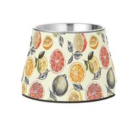 JUMBEAR Fresh Lemon Stainless Steel Dog Bowls,Food and Water Non Slip Anti Pet Puppy Dishes for Small, Medium and Large Dogs Cats