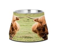 JUMBEAR Highland Cattle on The Grassland Anti slip Dog Bowls,Stainless Steel Cat Bowls,Cute Pet Bowls for Medium/Small Size Dogs