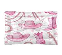 JUMBEAR North American Cowboy Hat and Gun Pet Bed,Non Slip Bottom Dog Crate Mattress Cat Dog Mat,Soft Comfortable Pet Cat Beds for Cats and Dogs Sleeping 24x18in