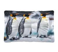 JUMBEAR Penguins Standing on An Ice Floe Pet Bed,Non Slip Bottom Dog Crate Mattress Cat Dog Mat,Soft Comfortable Pet Cat Beds for Cats and Dogs Sleeping 24x18in