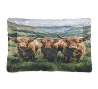 JUMBEAR Three Highland Cows Pet Bed,Non Slip Bottom Dog Crate Mattress Cat Dog Mat,Soft Comfortable Pet Cat Beds for Cats and Dogs Sleeping 36x24in