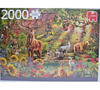Jumbo 18868 Jigsaw Puzzle 2000 Pieces Magic Forest / Magic Forest at Sunset