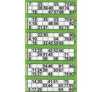 Jumbo Bingo Ticket Singles, 6 to View Pad, Green