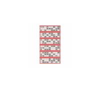 Jumbo Bingo Tickets pads 6 to view (Red)