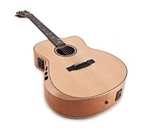 Jumbo Electro-Acoustic Guitar w/Preamp, FX Module & Internal Speaker