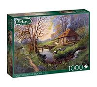 Cottage in the Woods
