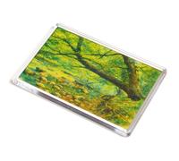 JUMBO MAGNET - Edinburgh. Roslin in Springtime - Vintage Art Style