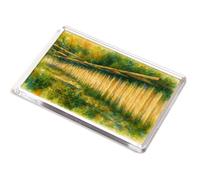 JUMBO MAGNET - Jacob's Ladder, Devil's Bridge (a) - Vintage Art Style