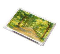 JUMBO MAGNET - The Lime Walk, Trinity College, Oxford - Vintage Art Style