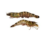 Jumbo Tiger Prawns, Frozen, 1kg, (4-6 prawns)