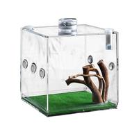 Jump Spider Housing, Acrylic Terrarium for Jumping Spider Growth, 360 Degree Transparent Small Sample, Beautiful Table Decoration, Power and G Carrier for Lizards, Beetles, Turtles, Snails