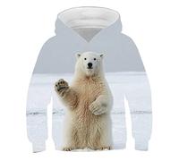 Jumper Hoodie Plus Size Top Pullover Work Wear Sweatshirt Hooded Casual Sweatshirts Men'S Sweatshirts Cute Trend Sports Antarctic Animals Penguins Polar Bears 3D Digital Printing Long Sleeve Men'S Swe