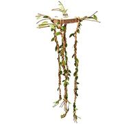 Jumpers, Climbing Toy for Reptiles, Decorative Climbers for Reptiles, Chameleons, Geckos, Bearded Dragons, Turtles, Lizards, Frogs, Mantis