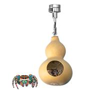 Jumping Cave with Magnetism Case Accessories, Jumping Natural Pumpkins Accessories Naturalistic House for Small Reptile Cave Presents Its Own Unique Design and Insures Egg