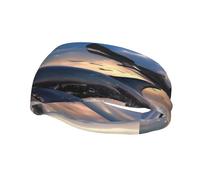 Jumping Killer Whales and Birds of Prey Sports Sweatband, Unisex Headbands for Men and Women,Stretchy, Breathable, and Moisture-Wicking