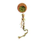 Jumping Mygale Enclosure Decoration - Magnetic Cave for Terrarium - Jumping Spider Cave Ornament for Climbing, Hiding, Exploring, Playing, Resting, Seeking Food