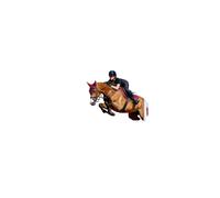 LeMieux Cotton Close Contact Saddle Pad Square - High Wither - Elasticated D-Ring Tabs - Burgundy - Large