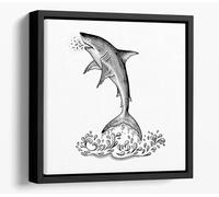 Jumping Shark black and white sketch Canvas Floater Frame Square Print Picture Art - Black Frame 30 inch wide x 30 inch high