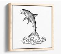 Jumping Shark black and white sketch Canvas Floater Frame Square Print Picture Art - Light Oak Frame 20 inch wide x 20 inch high