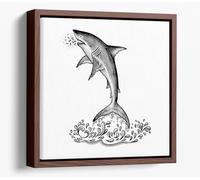 Jumping Shark black and white sketch Canvas Floater Frame Square Print Picture Art - Walnut Frame 20 inch wide x 20 inch high
