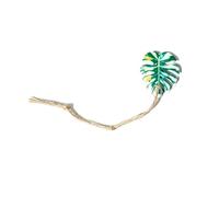 Jumping Spider Accessories - Climbing and Feeding Habitat for Animals, Jumping Spider Habitat with Climbing Rope - Living Room Bedroom House Pet Owners