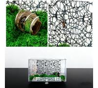 Jumping Spider Accessories, Hidden Barrel and Jumping Spider Net Belt (Black), Suitable for Jumping Spiders and Other Small Insects