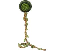 Jumping Spider Accessories, Jumping Spider Enclosure Kit, Magnetic Spider Hideout, Handmade Moss Hide and Rope Bridge for Jumping Spiders Tarantulas & Pet Spider Terrarium Decor