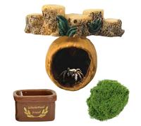 Jumping Spider Accessories Jumping Spider Hide Spiders Terrarium Accessories for Small Insects Pets