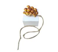 Jumping Spider Accessories - Mushroom Enclosure | and Magnetic Climbing Area | Extended Climbing Band for Small Reptiles and Exotic Animals