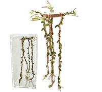 Jumping Spider Accessories | Reptile Cage Enrichment Creepers | Jumping Spider Enclosure Decor - Chameleons, Mantis, Geckos, Turtles, Frogs, Beards, Lizards & Snakes