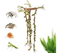 Jumping Spider Accessories - Reptile Cage Vines Enrichment - Jumping Spider Enclosure Decor - for Snakes Ball Pythons Chameleons Mantis Gecko Tortoise Frog Bearded Dragon
