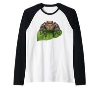Jumping Spider Arachnid Lover Realistic Salticidae Nature Raglan Baseball Tee
