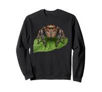Jumping Spider Arachnid Lover Realistic Salticidae Nature Sweatshirt