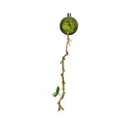 Jumping Spider Cage, Climbing Cage with Realistic Moss for Spiders, Landscape Shelter for Amphibians Reptiles Small Animals Feeding Geckos Lizards in the Home