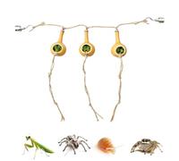 Jumping Spider Cave Artificial Vine Decor Enclosure Parts