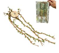 Jumping Spider Climbing - 14.17in, Hanging Rope, Square Wood, Small Animal Activity Tool, Textile Climbings Accessory | Stimulating Hideaway For Bearded Dragon Hermit Crab