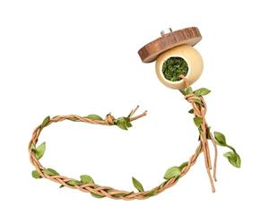 Jumping Spider Climbing Horned Frog Habitat Decoration