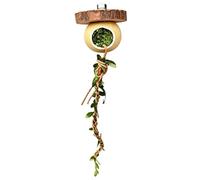 Jumping Spider Climbing Rope Horned Frog Habitat Decoration