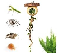 Jumping Spider Climbing Rope Horned Frog Habitat Decoration