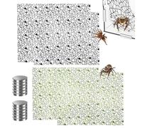 Jumping Spider Climbing Web Praying - Mantis Toys Spider Habitat For Pet