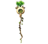 Jumping Spider Decor - Creepers Enrichment Cage Reptiles - Climbing Reptiles | for Serpents Royal Pythons Chameleons Mantis Geckos Turtles Frogs