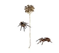 Jumping Spider Decor, Magnetic Mushroom Ledge with Naturalistic Design & Secure Hold, Terrarium Accessory Decoration, Spider Enclosure Decor for Geckos Lizards Tree Frogs Home Habitat Breeding Setup