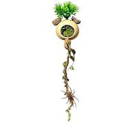 Jumping Spider Decor, Reptile Cage Toys Vines, Jumping Spider Enclosure Decor, for Gecko Tortoise Frog Bearded Dragon Hermit Crab Turtle Lizard Snakes Ball Pythons