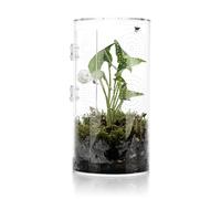 Jumping Spider Enclosure, 11.5”*6”*6”, Air Hole 3/64" Micro Habitat Terrariums, Arboreal Reptile Tank with Front Opening Door,Tarantula Enclosure, Plant Greenhouse