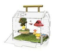Jumping Spider Enclosure